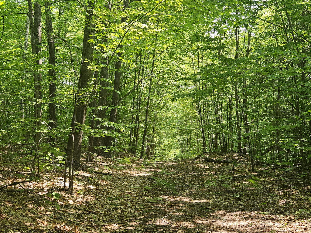 Lot 023-A Oak Hill Road Temple