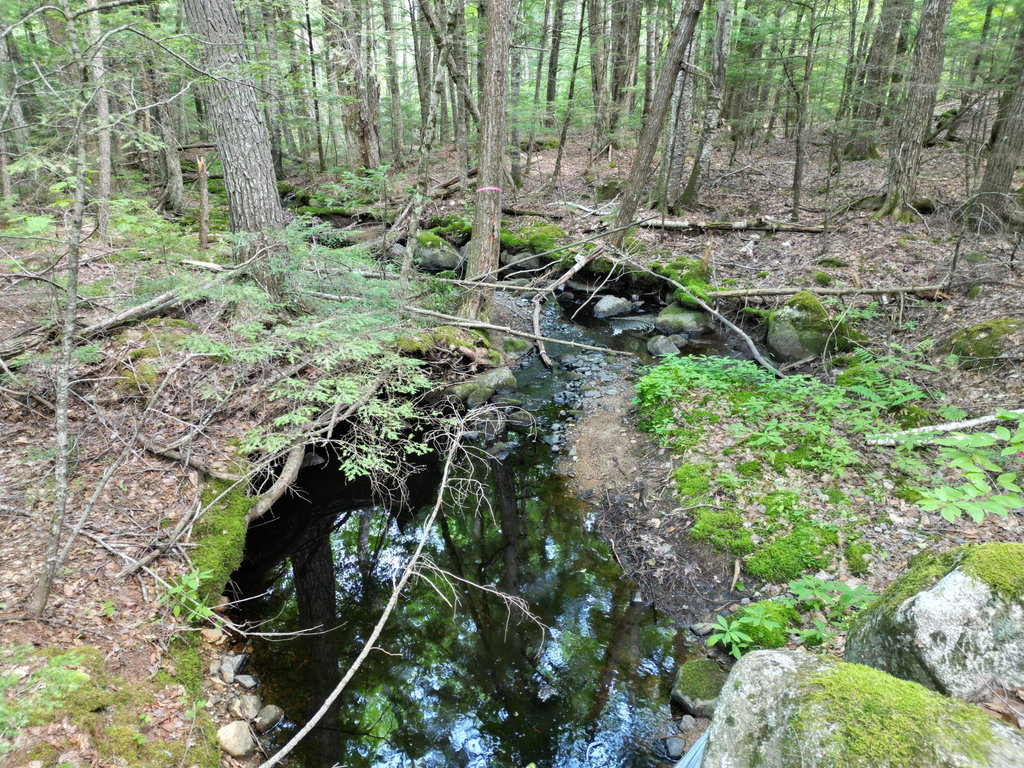 Lot 18-2 Madagascal Pond Road Burlington