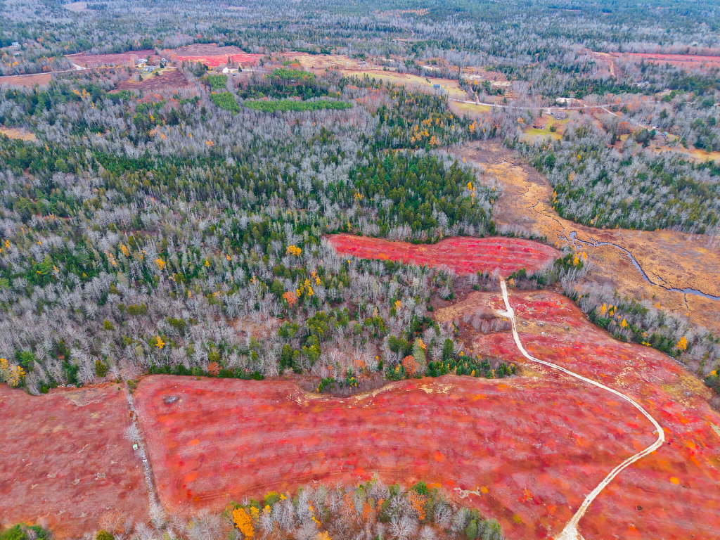 MAP 31 LOT 29