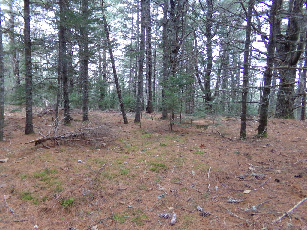 Lot 3E Rogers Point Road Steuben