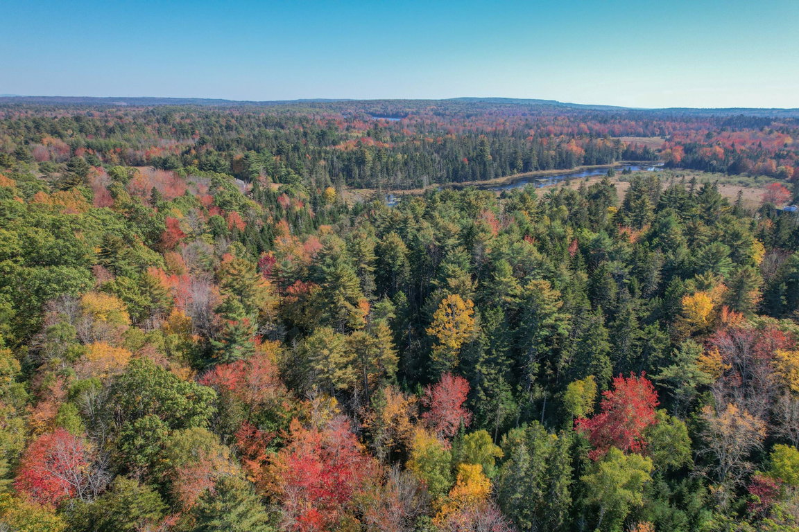DJI_0231