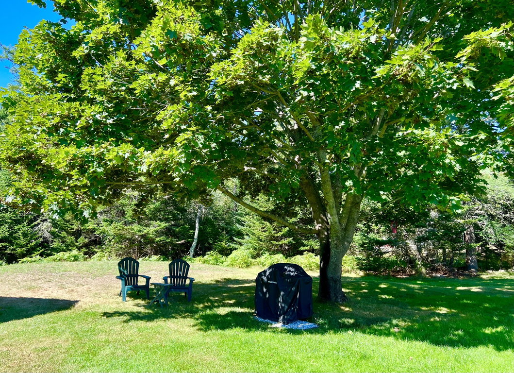 Grounds