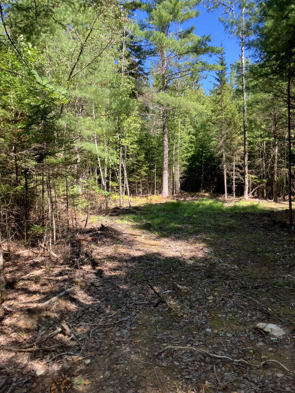 0 Spring Brook Drive Lincolnville