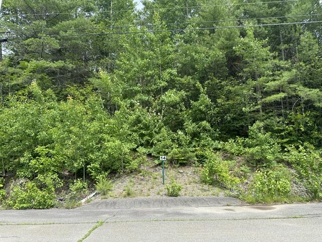 Lot 14 Grant Road Orono