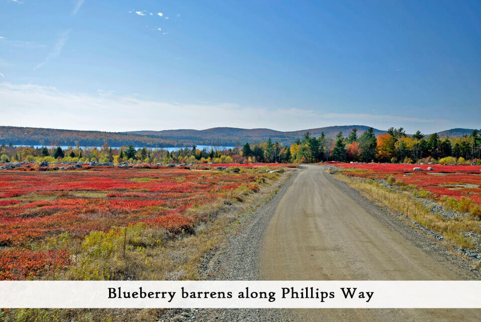 along Phillips Way (2)