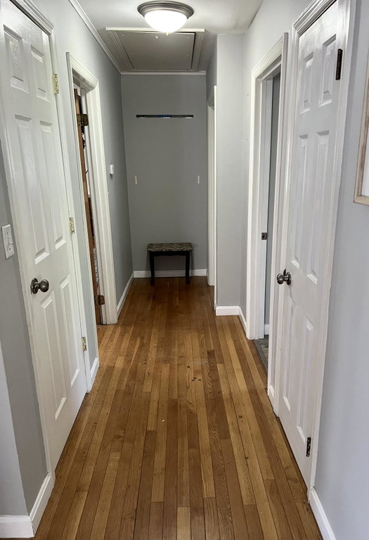 Main level hallway