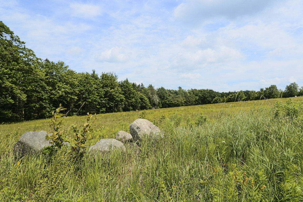 Lot 4