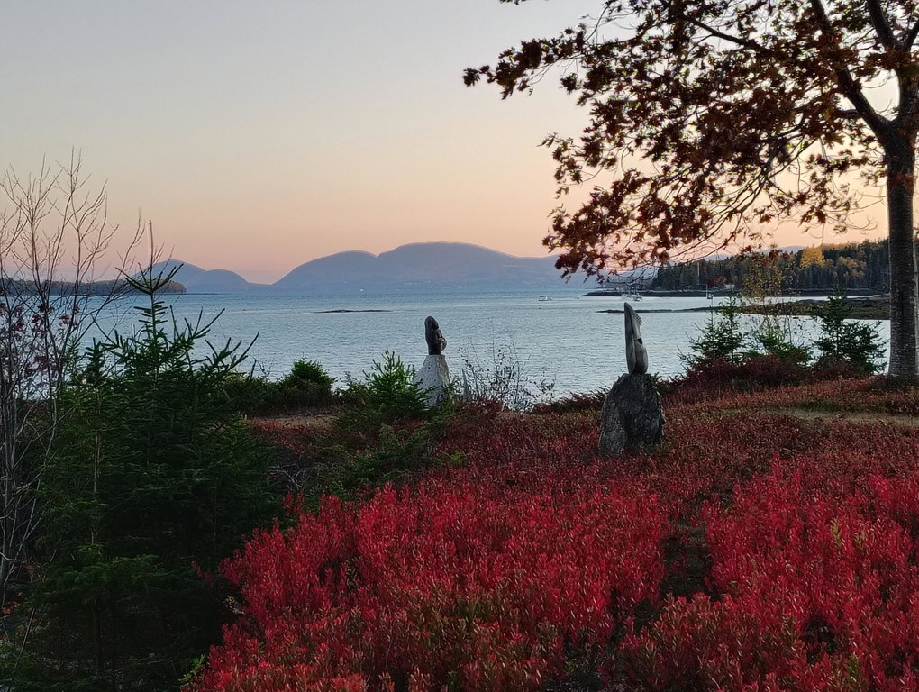 gull rock 6-1