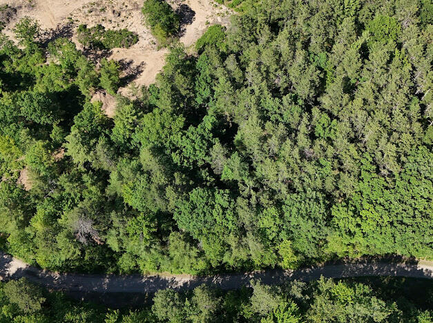 Lot 23, F1 Little Poverty Pond Road Shapleigh