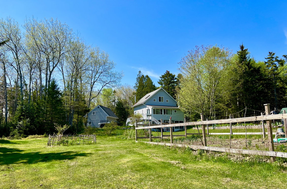 Back yard