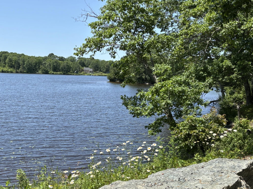 Nearby Lake