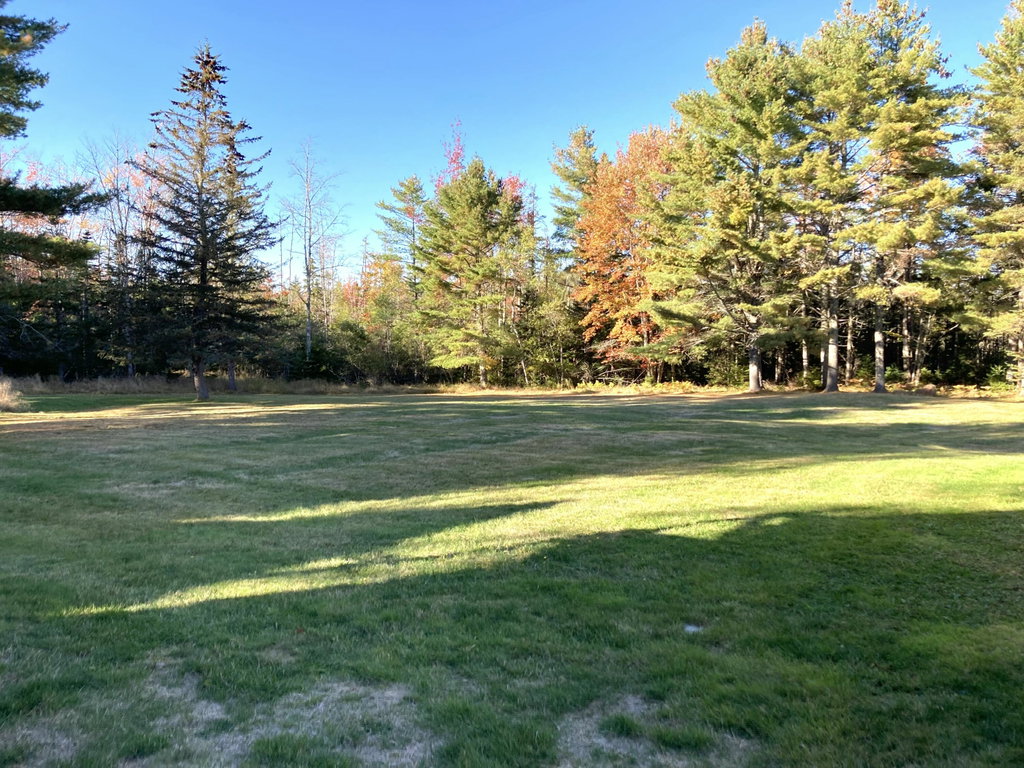 Back field.