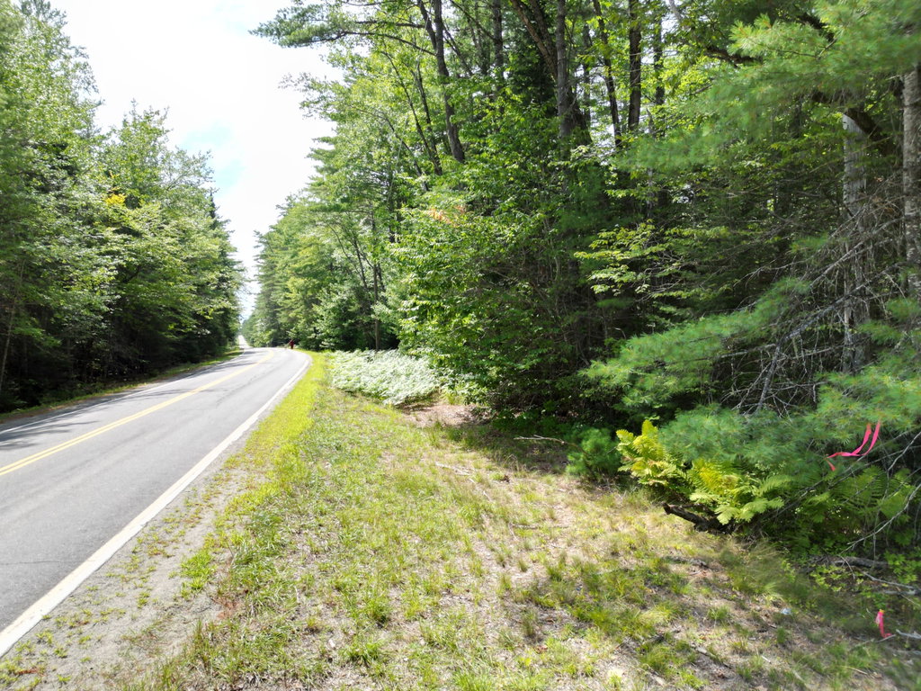 Lot 5 River Road Maxfield