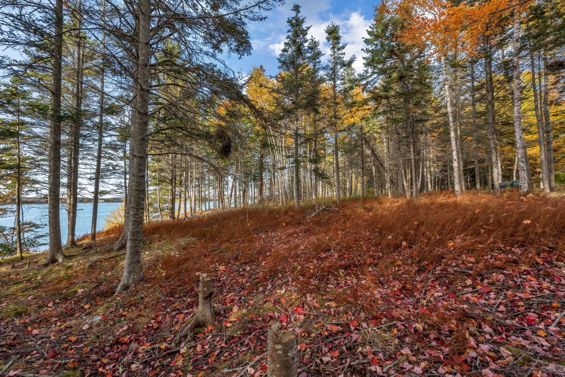 11-web-or-mls-495-north-deer-isle-land
