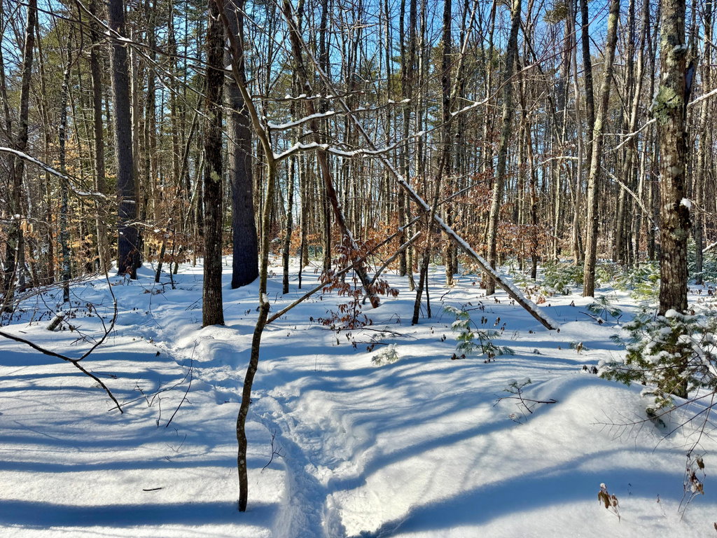 TBD Swans Falls Road Fryeburg