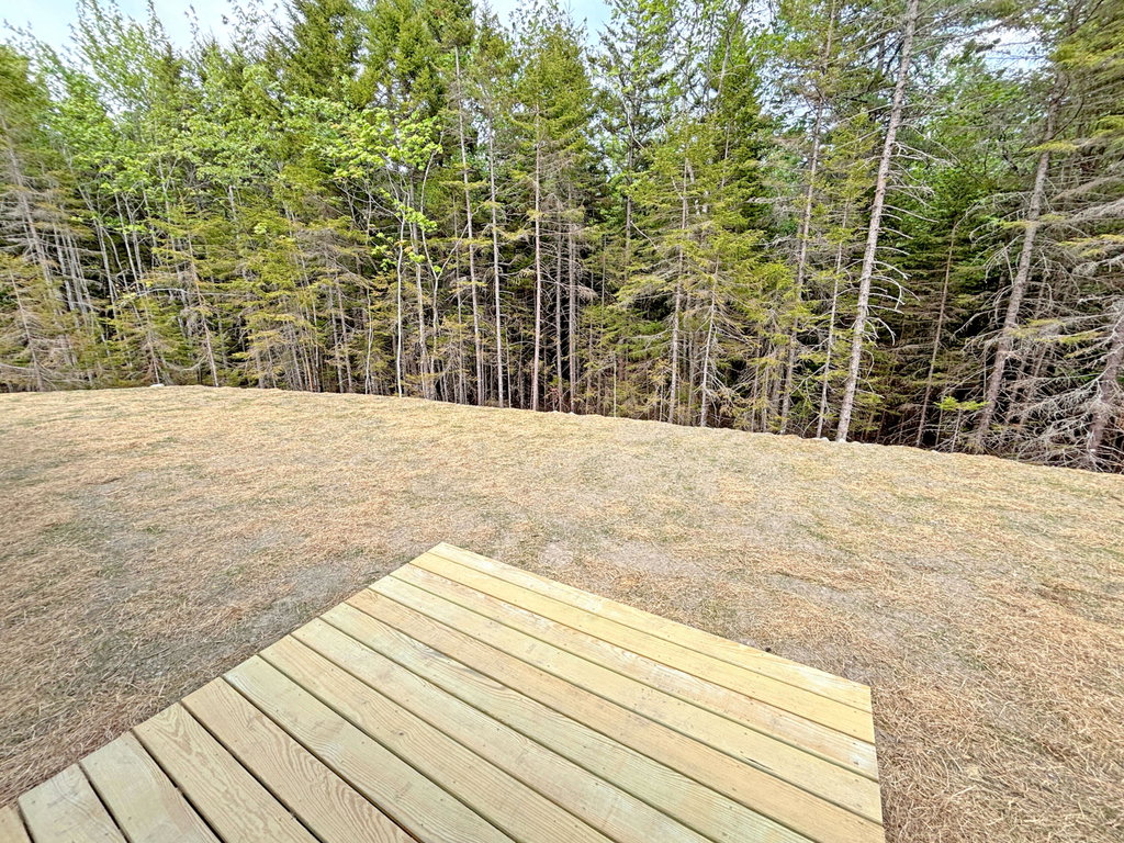 Grounds (5)