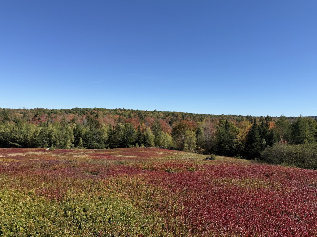 MAP 31 LOT 29