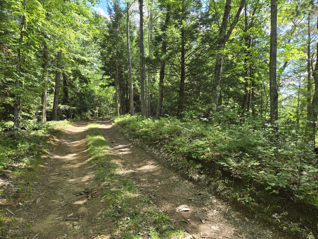 Lot 8 East Andover Road Andover