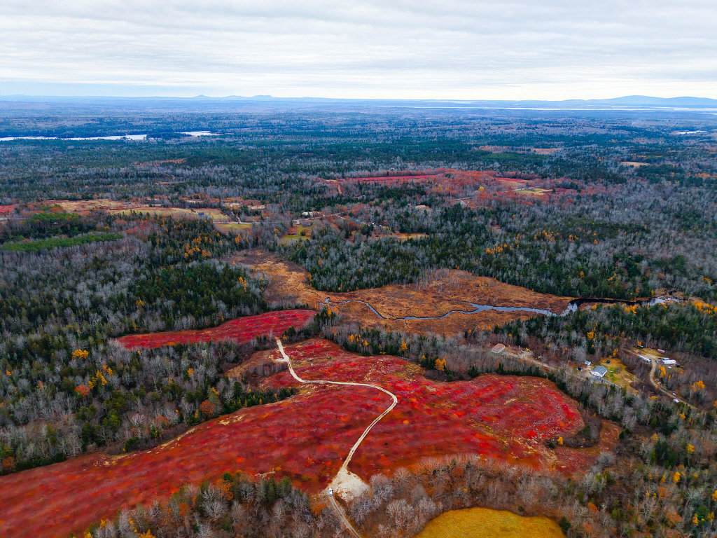 MAP 31 LOT 29