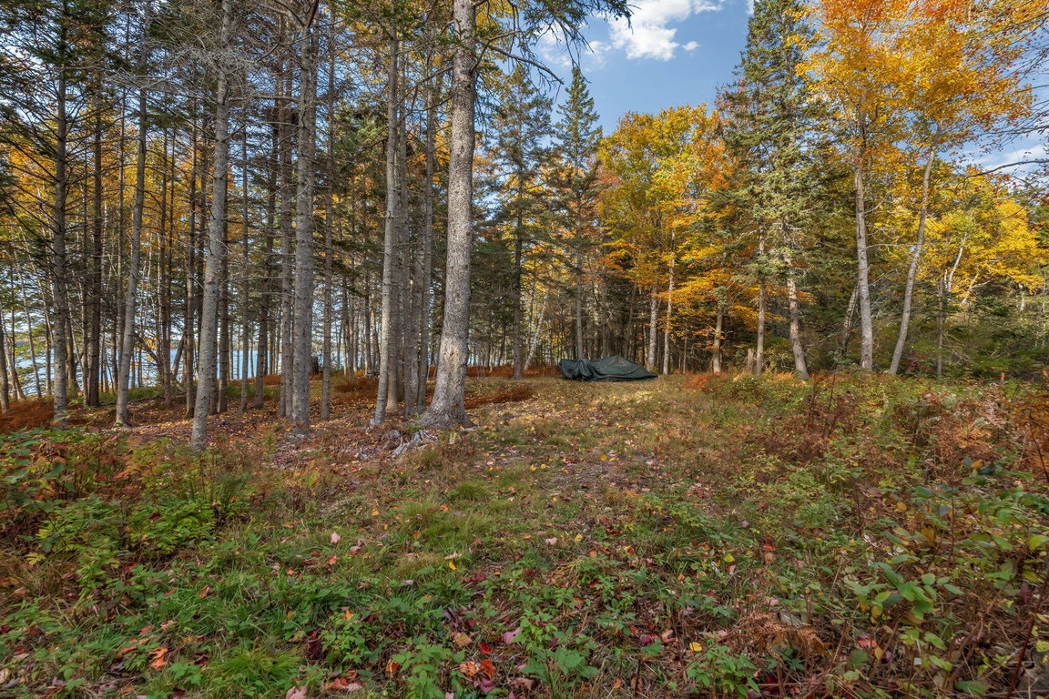 12-web-or-mls-495-north-deer-isle-land