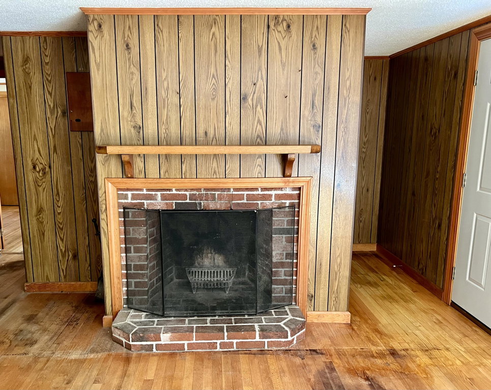 Living room fireplace