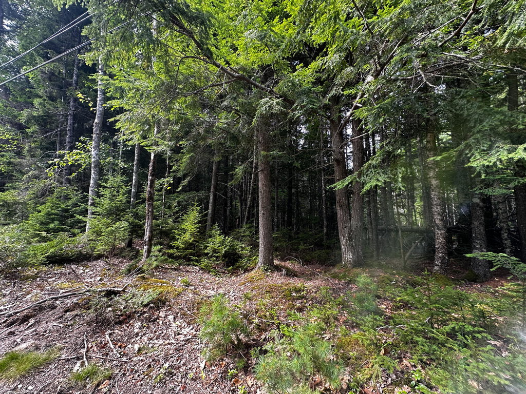 Unknown-1