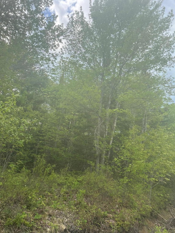 1 Morse District Road Steuben