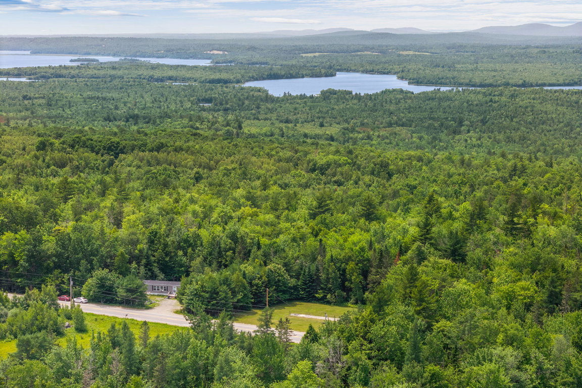 18-web-or-mls-1545-waltham-rd