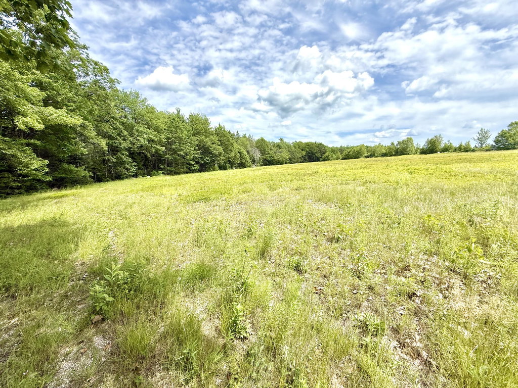 Lot 4