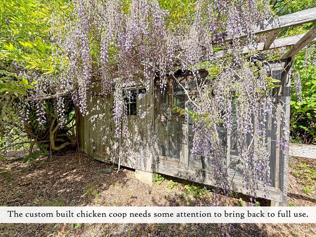 Chicken-Coop,-label
