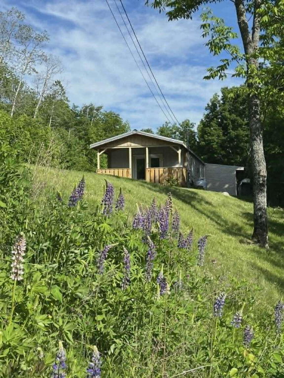 221 Shirley Road Blanchard Twp