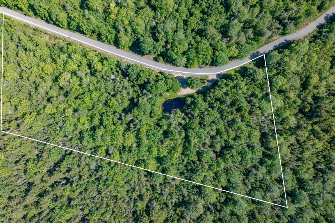 25-Lot 12_ Merganser Drive-DTP
