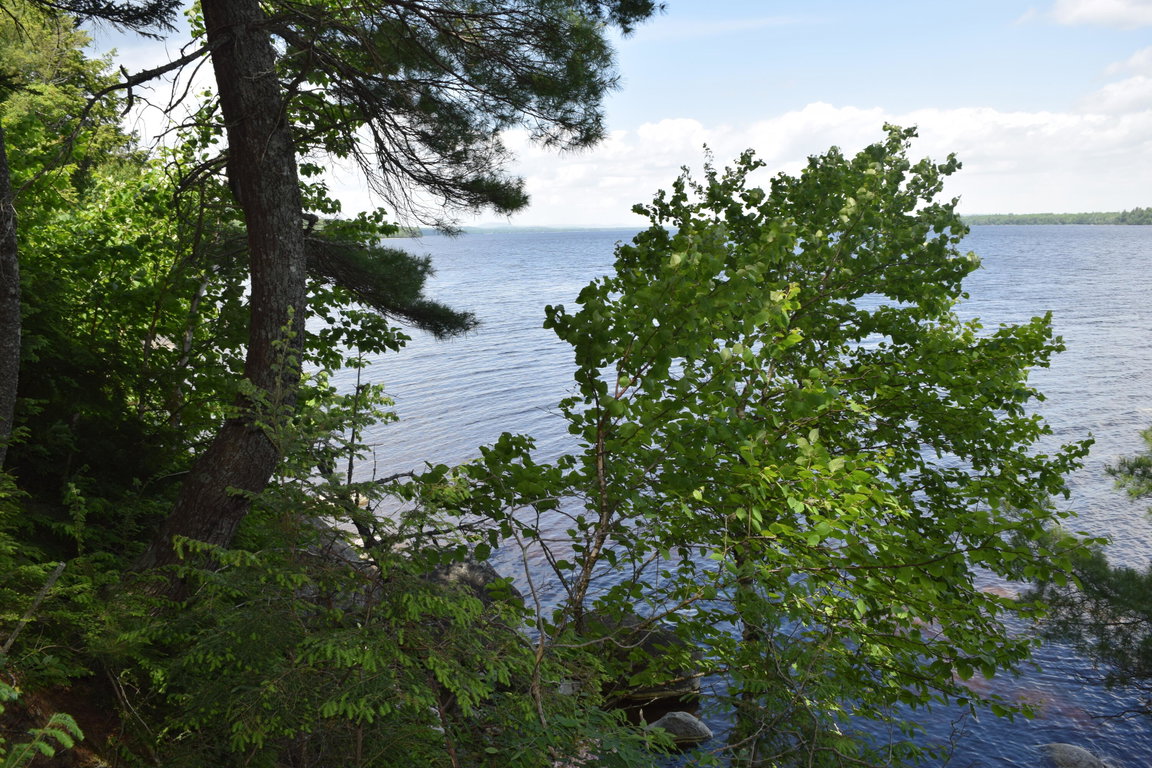 DSC_0024