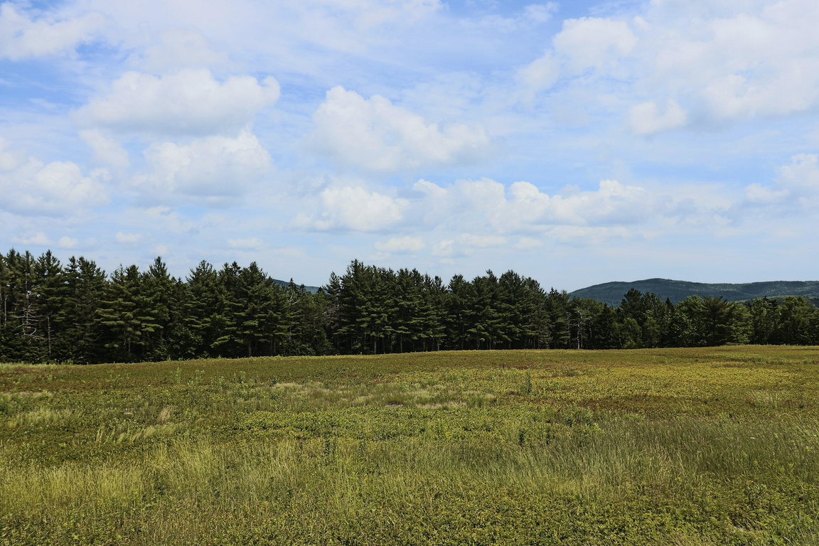 Lot 1