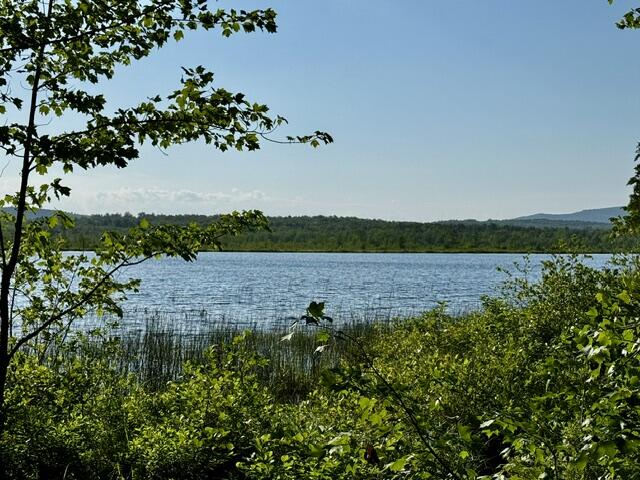 Lot 1 Skogen Ridge Drive Belgrade