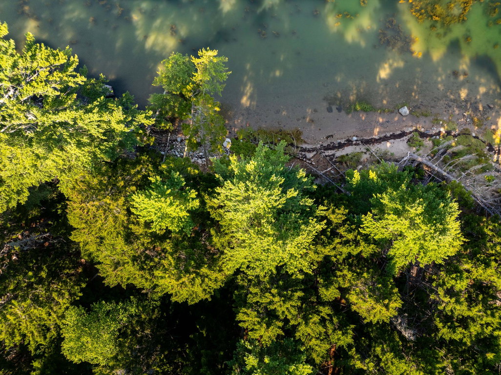 Shoreline copy 5