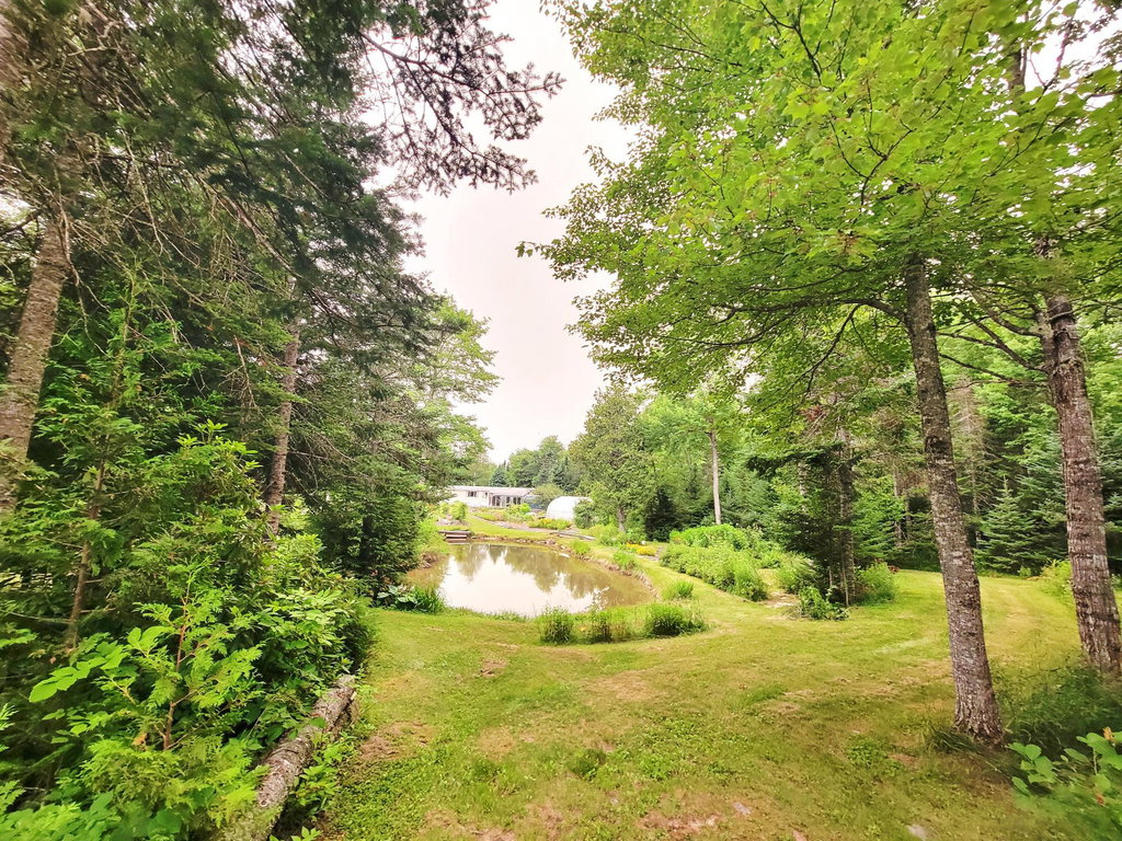 Farm Pond