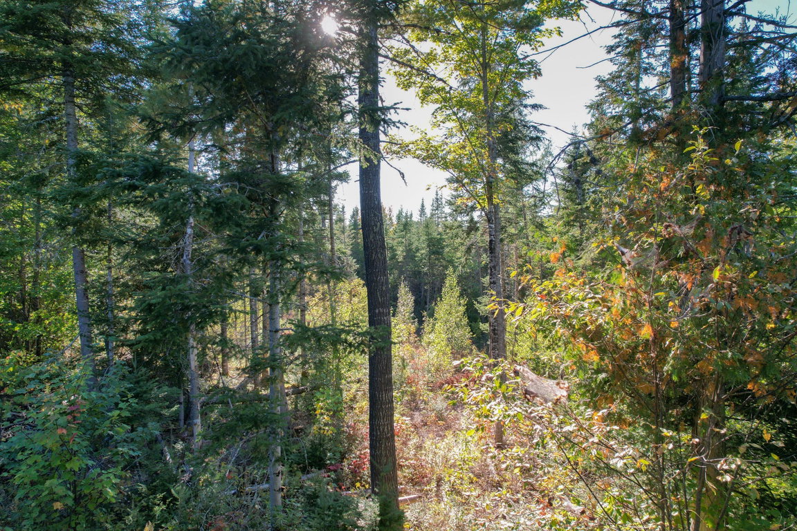 DJI_0583