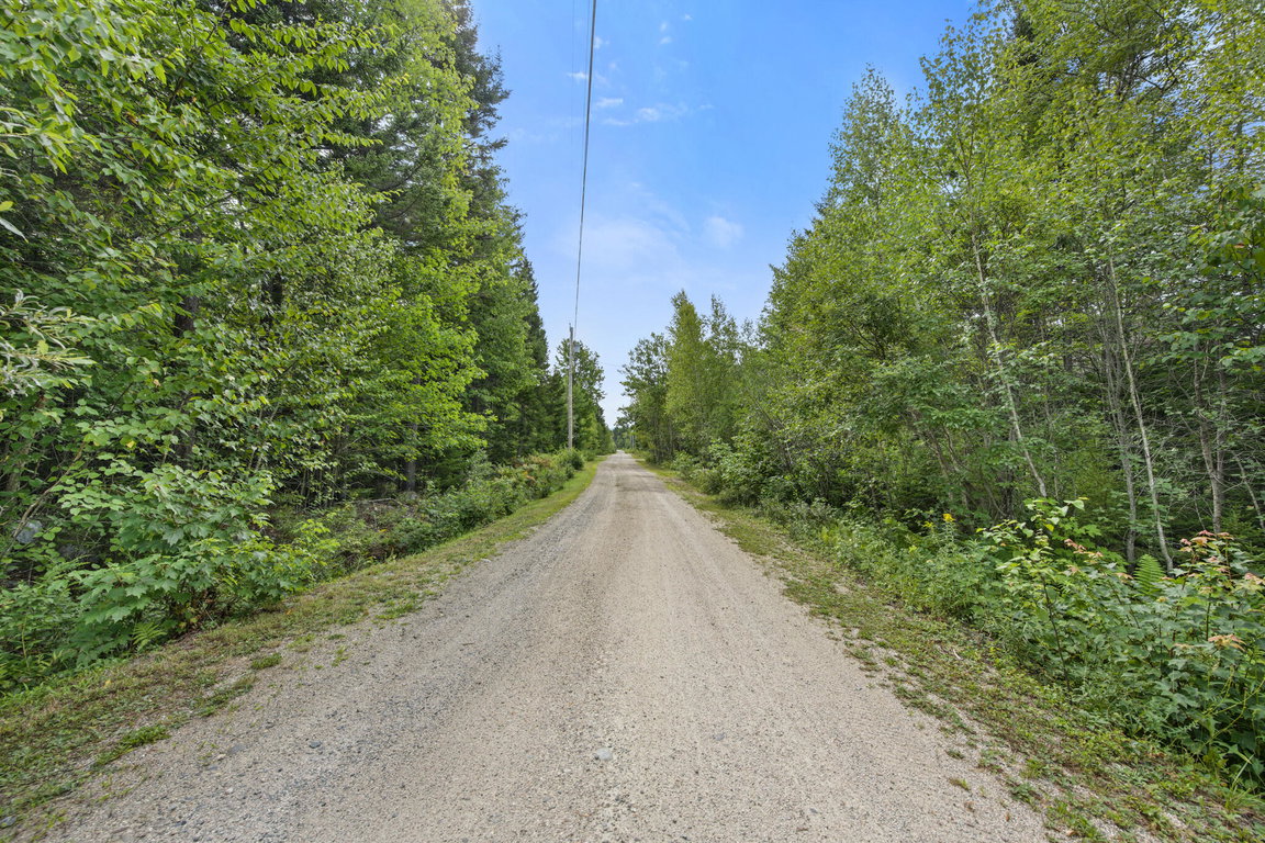Horse Farm Road