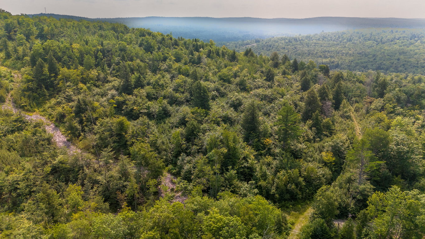 Lot8 Bear Brook Subdivision  Sebec