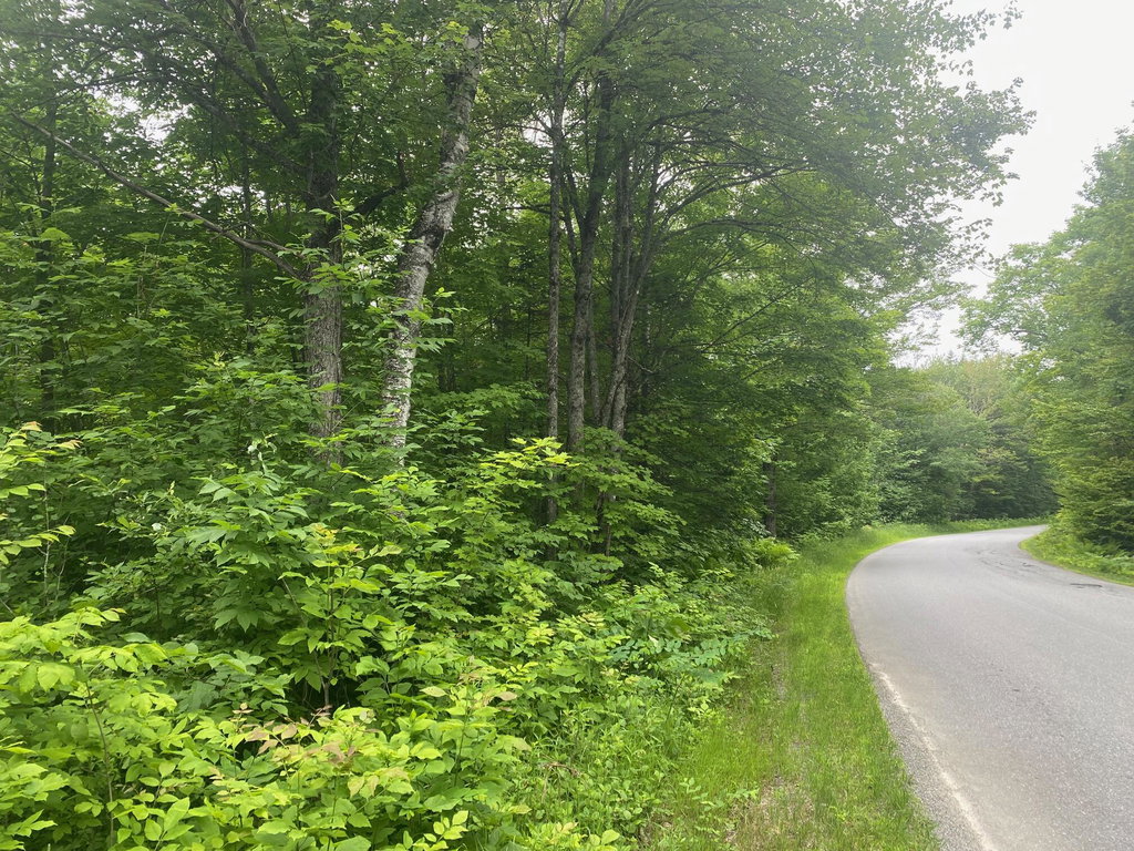 Lot# 17 Guilford Center Road Guilford