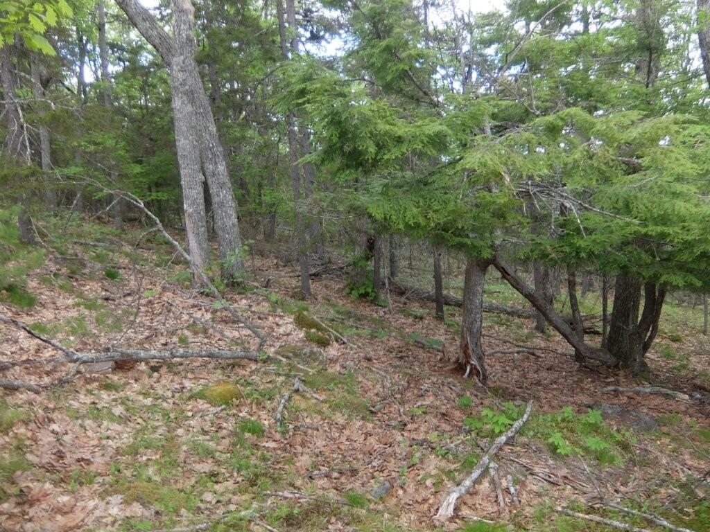 0 Hatchet Mountain Road Hope