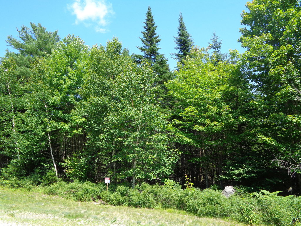Lot 11 Bailey Mountain Road Franklin