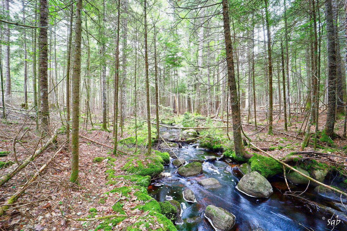 Lot 3 Bear Springs Lane Surry