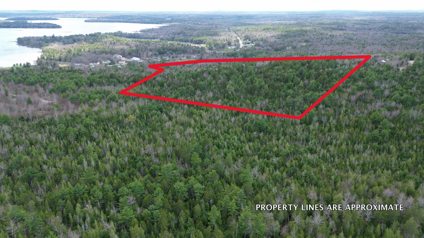 Approximate Boundary