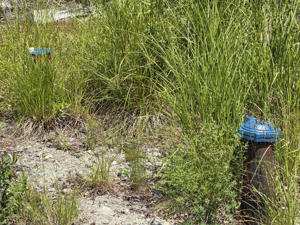 two wells