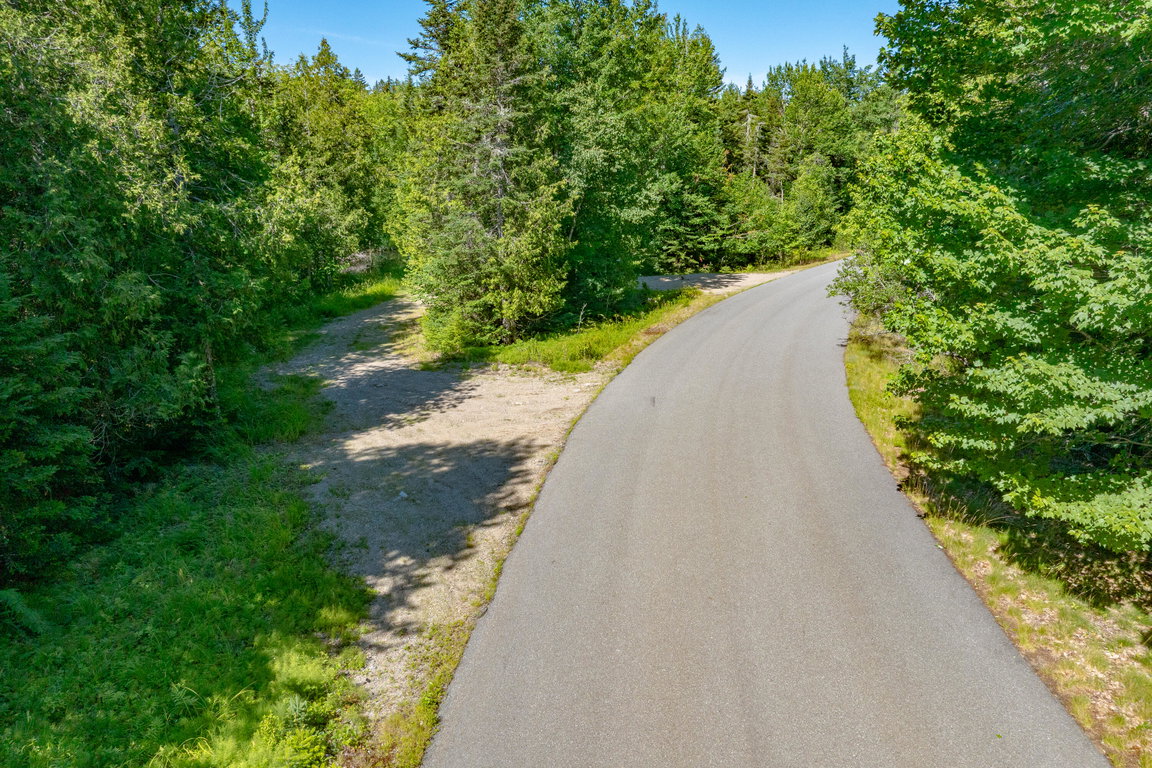 29-Lot 12_ Merganser Drive-DTP