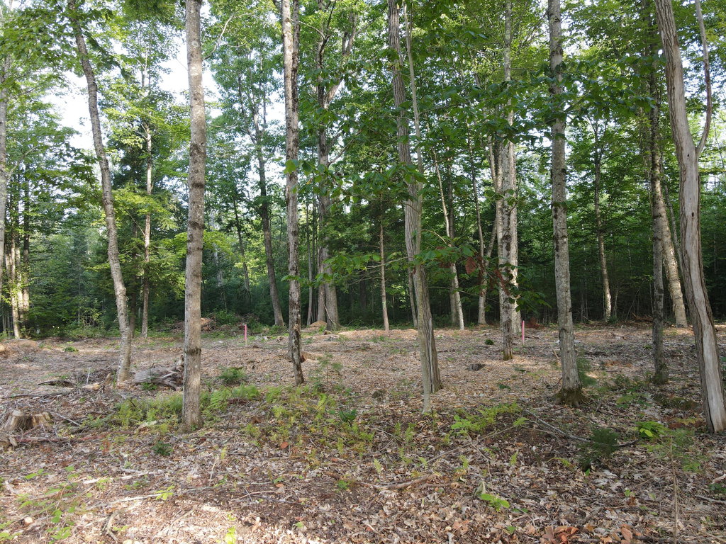 Lot 6 Oak Pond Road Skowhegan