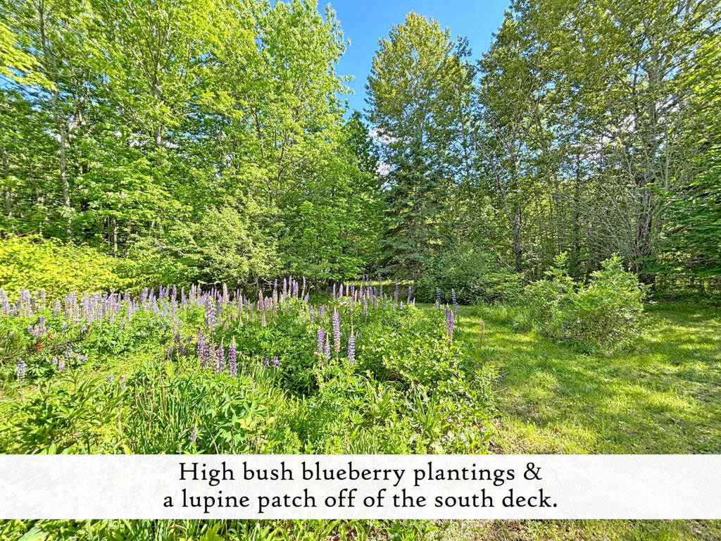 Grounds (8), label
