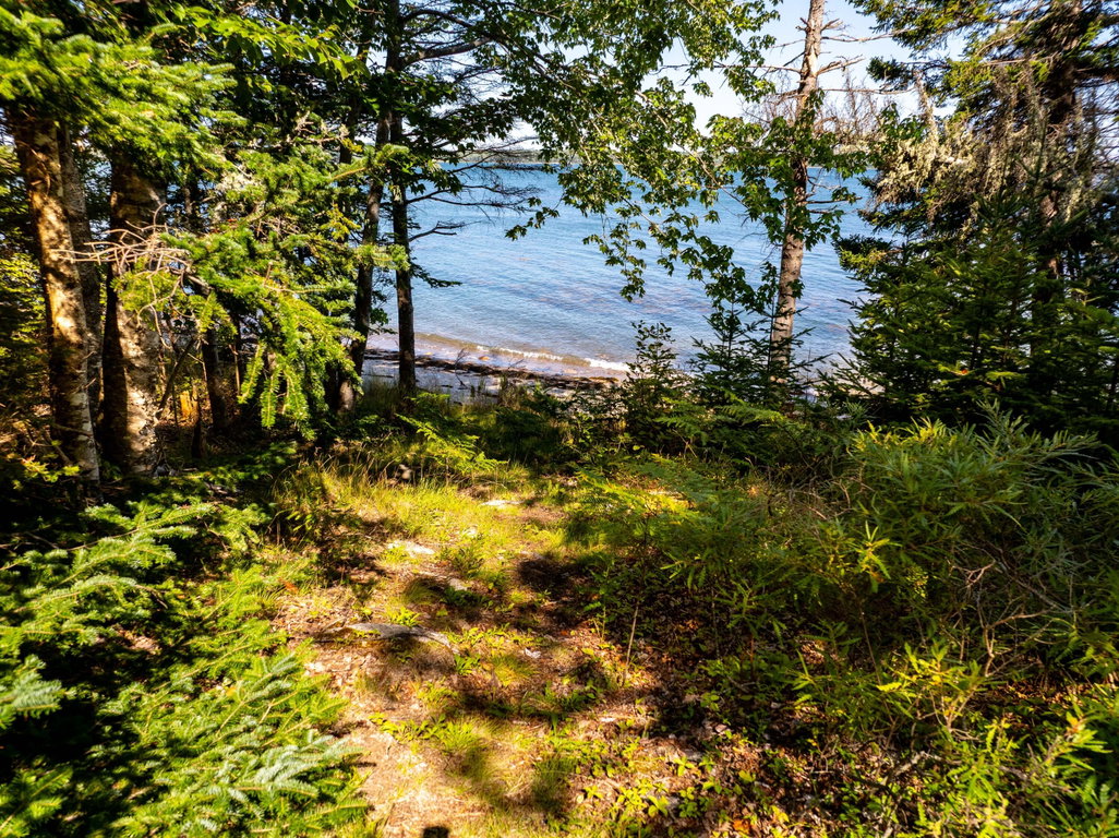 Path to beach